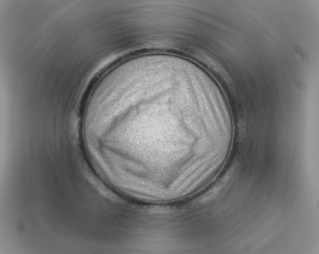 X0000113901029200910151351