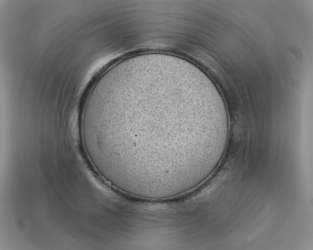 X0000113901030200910151351