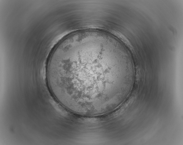 X0000113901031200910151351