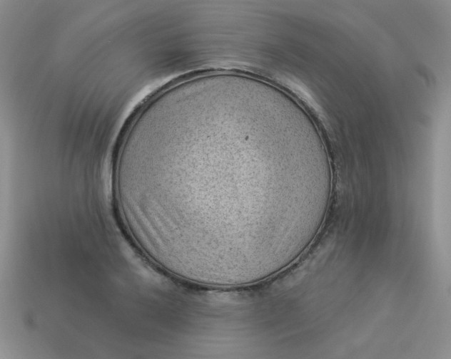 X0000113901032200910151351