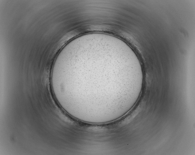 X0000113901033200910151351