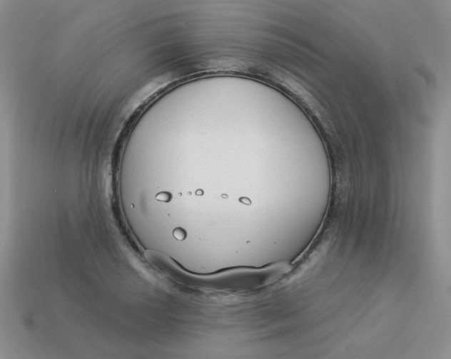 X0000113901034200910151351