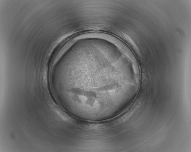 X0000113901035200910151351