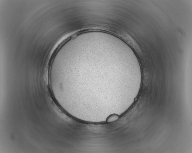 X0000113901036200910151351