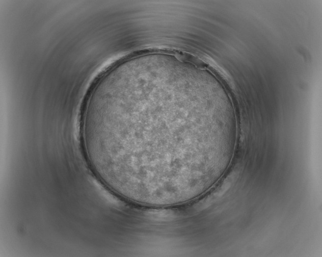 X0000113901037200910151351