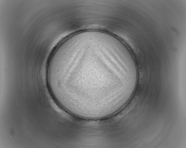 X0000113901038200910151351