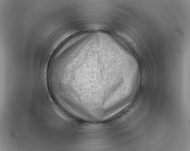 X0000113901039200910151351