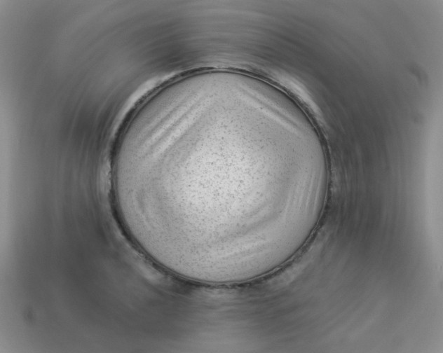 X0000113901040200910151351