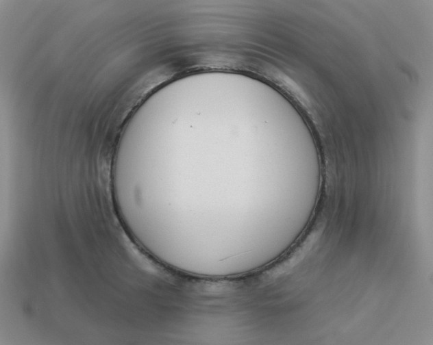 X0000113901041200910151351