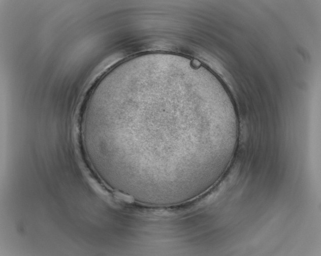 X0000113901042200910151351