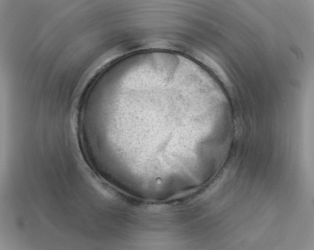 X0000113901043200910151351