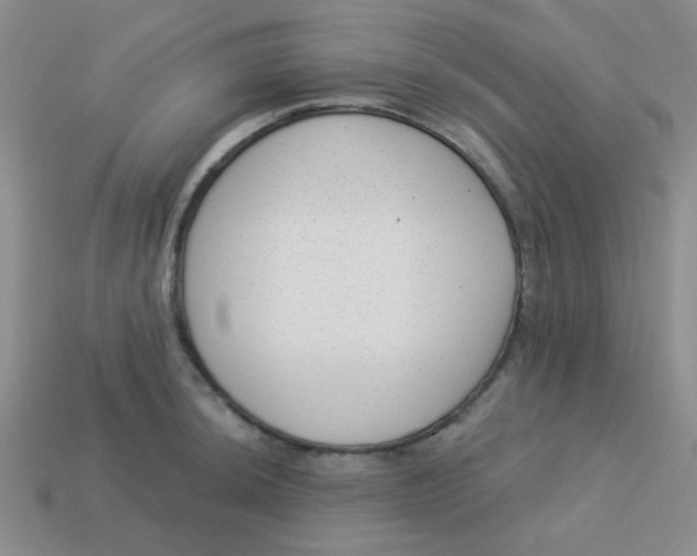 X0000113901044200910151351