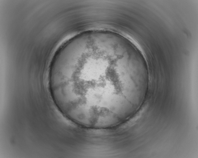 X0000113901045200910151351