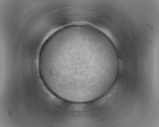 X0000113901046200910151351