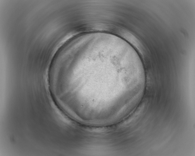 X0000113901047200910151351