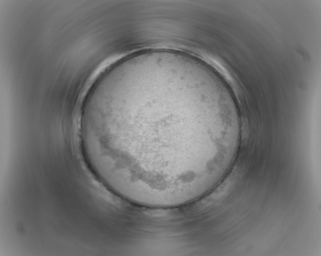 X0000113901048200910151351