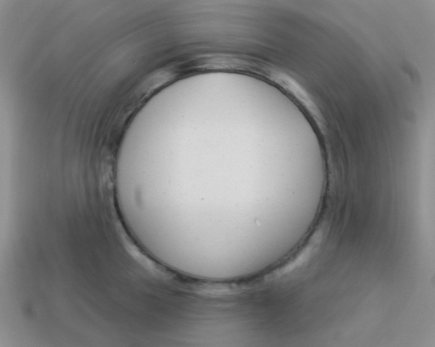 X0000113901049200910151351