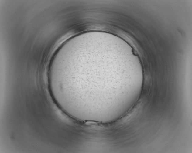 X0000113901050200910151351