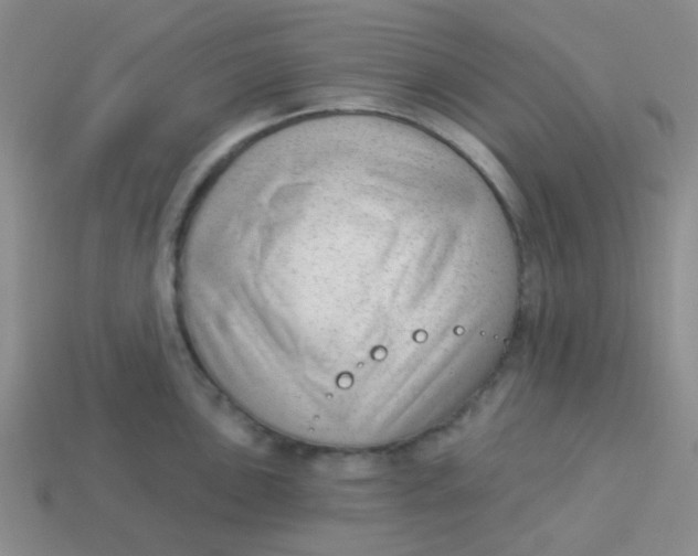 X0000113901051200910151351