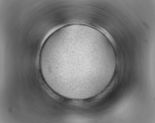 X0000113901052200910151351