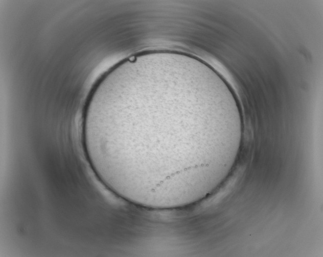 X0000113901053200910151351