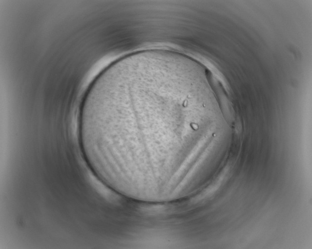 X0000113901054200910151351