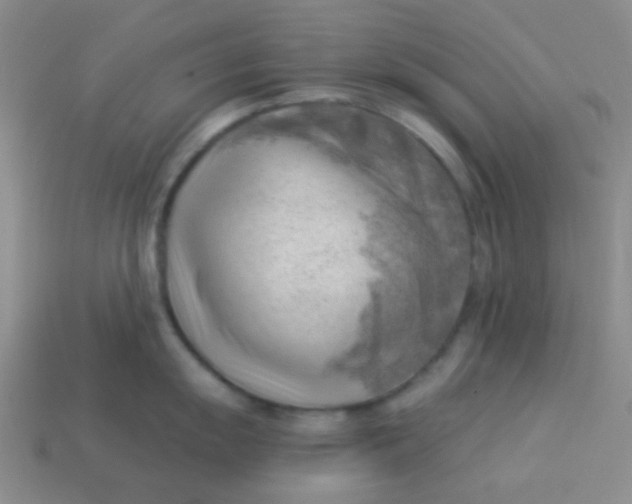 X0000113901055200910151351