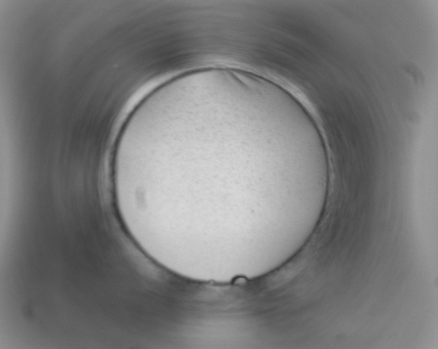 X0000113901056200910151351