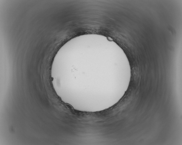 X0000113901057200910151350