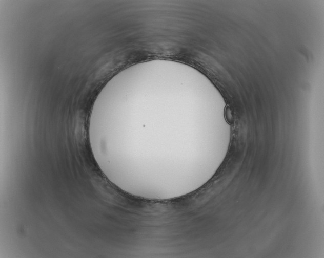 X0000113901058200910151350