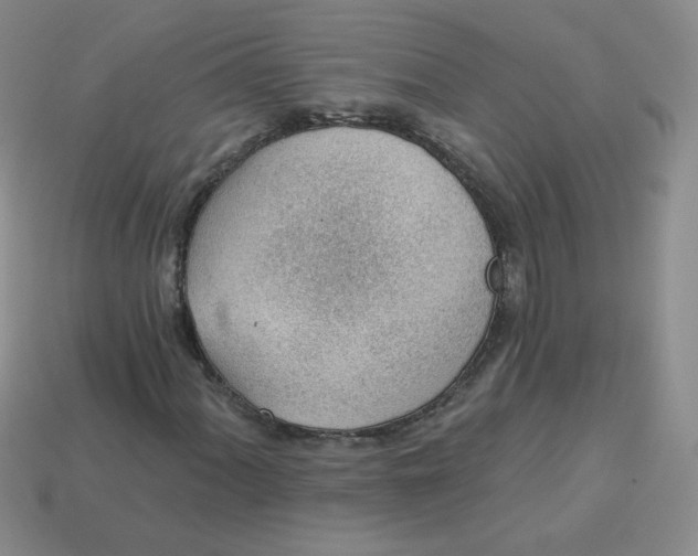 X0000113901060200910151350