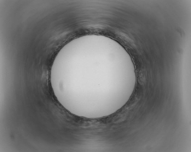 X0000113901061200910151350