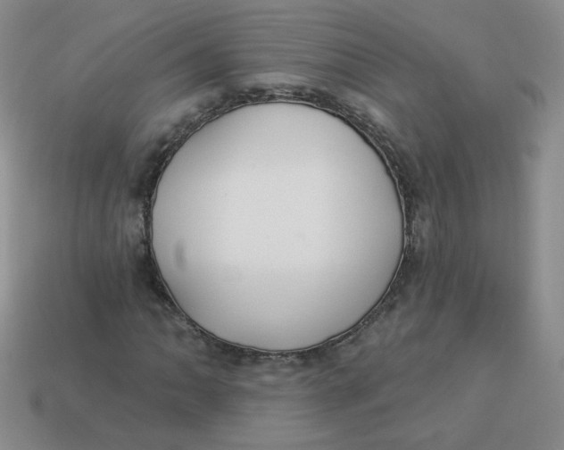 X0000113901062200910151350