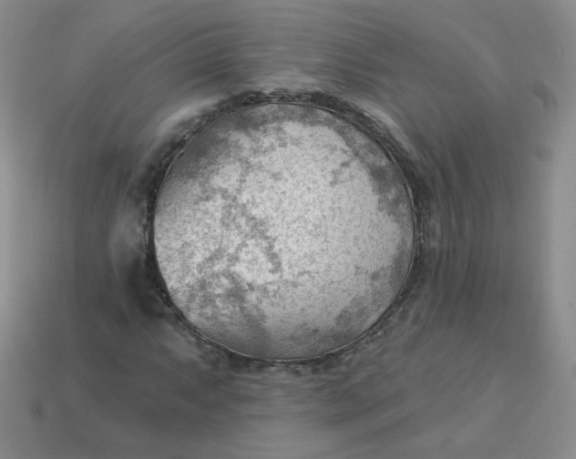 X0000113901063200910151350