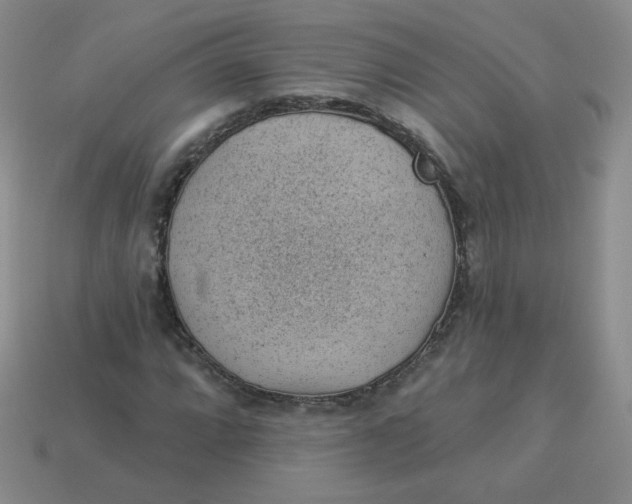 X0000113901064200910151350