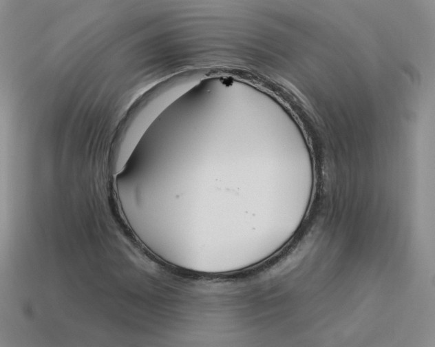 X0000113901065200910151350