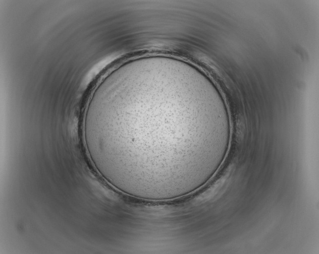 X0000113901066200910151350