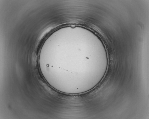 X0000113901067200910151350