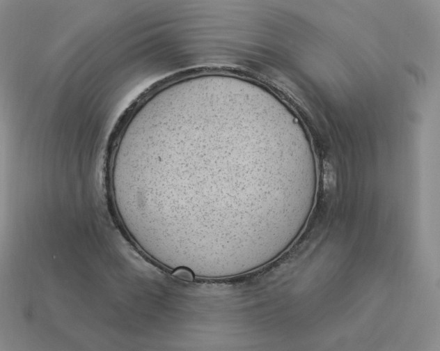 X0000113901068200910151350