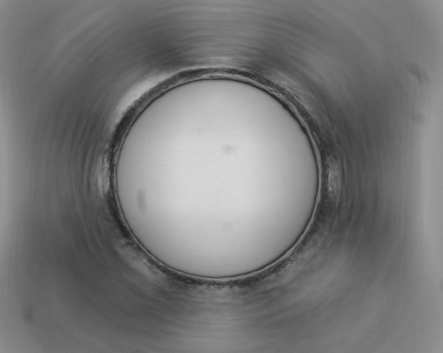 X0000113901069200910151350