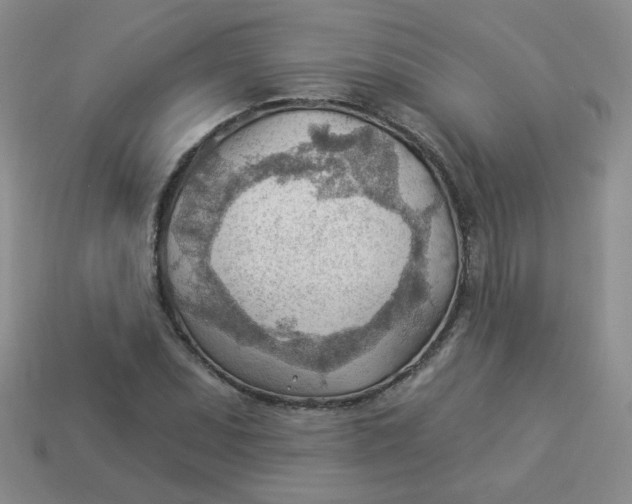 X0000113901071200910151350