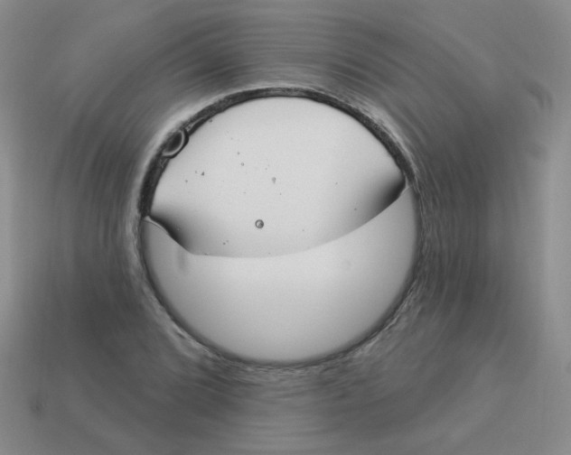 X0000113901072200910151350