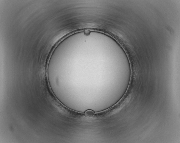 X0000113901073200910151350