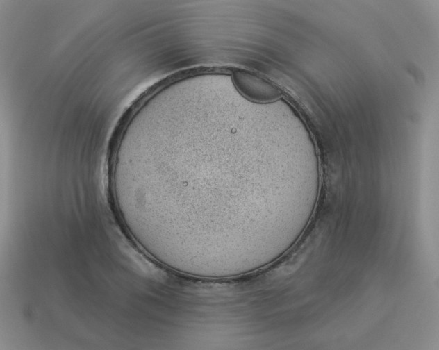 X0000113901076200910151350