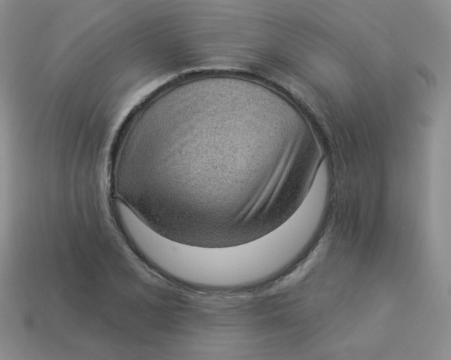 X0000113901077200910151350