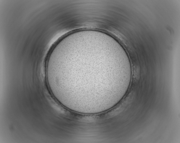 X0000113901078200910151350