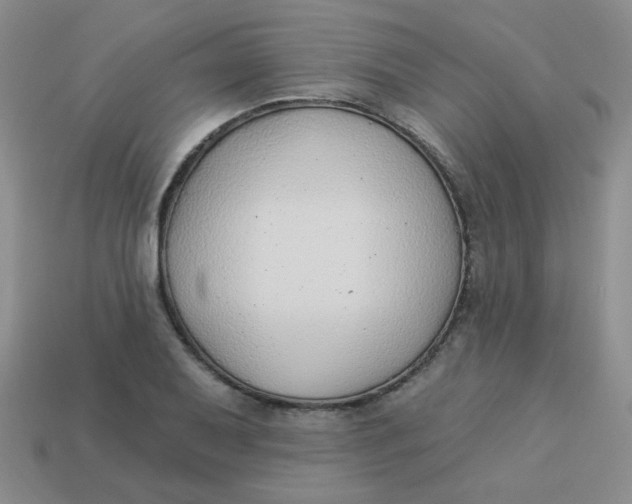 X0000113901079200910151350