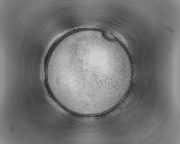 X0000113901080200910151350