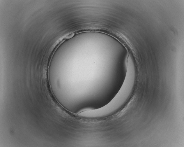 X0000113901081200910151350