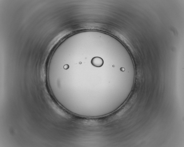 X0000113901082200910151350